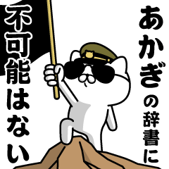 "AKAGI"name/Military cat2