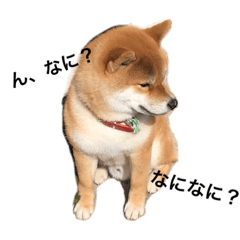 saori_20200221154517