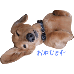 RonCoco