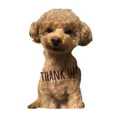 asuka_20200221153203