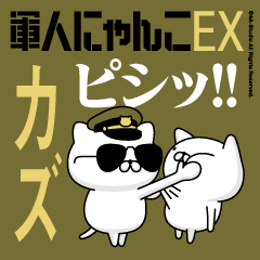 "KAZU"name/Movie Military cat