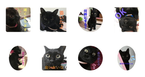 わたしの黒猫友達スタンプ Lineクリエイターズスタンプ Stamplist