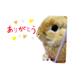 yun_20200221013858