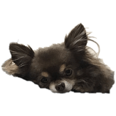 Ricky_20200221002308