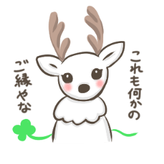 Lucky deer in Nara