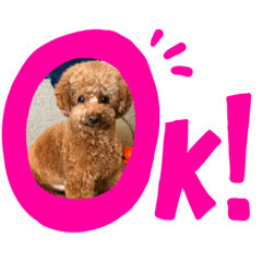 nanami_20200221191756