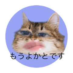 mo_20200221192333