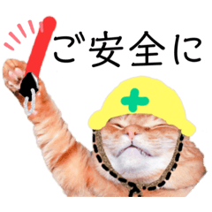 tomomi_20200221202050