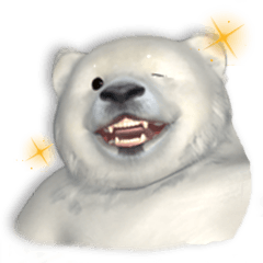 3D 北極熊寶寶