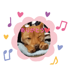 COCOA_20200221223058