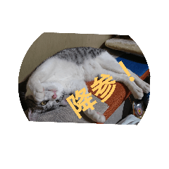 hiroki_20200221225111