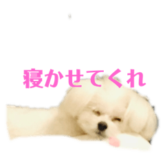 So_20200221230205