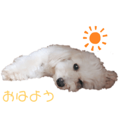 Dan_20200222023652