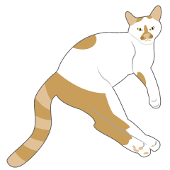 Lovely Cheese Cat SISU