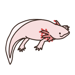 Daily life of Axolotl 2