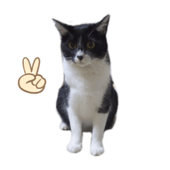 natsumi_20200222113340