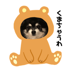 dogs lover_20200222160421