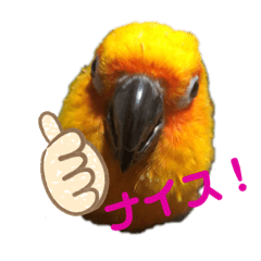 melon_20200222175459