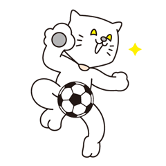 Costume of the cat -soccer-