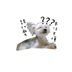 OREO加牛奶