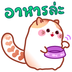 Pochi The Adorable Cat (Thai Version)
