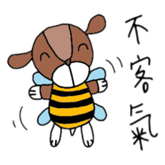 小白寶寶