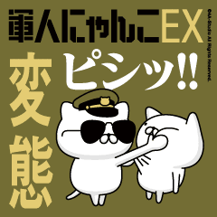 "HENTAI"name/Movie Military cat
