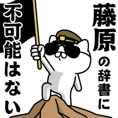 "FUJIWARA"name/Military cat