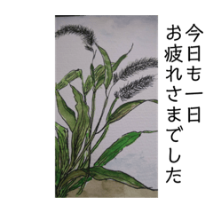 akiko_20200222140204