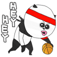 パンダのバスケットボール