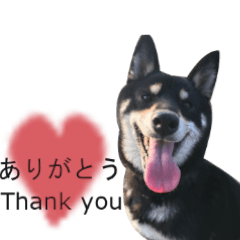 Anzu (Black Shiba) Stamps