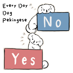 Every Day Dog Pekingese