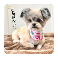 hana_20200222210109