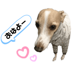 saori_20200222211338