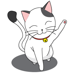 Shiro white cat with a fun.