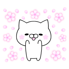 sakura cat spring