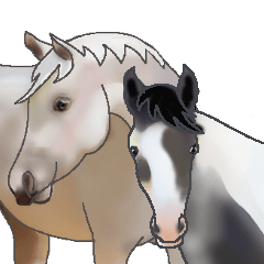 HORSE Love Horse bis