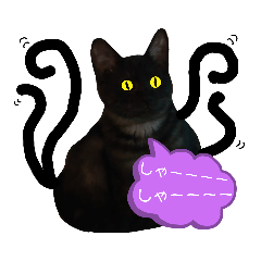 omochi_20200222214146