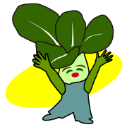Mr.Vegetable