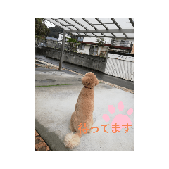 nanami_20200222222642