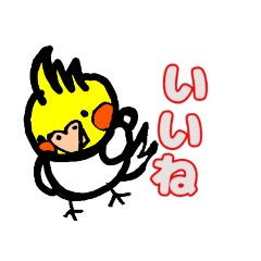 おかめインコ