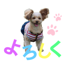 RISA_20200223004506