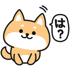 Sharp tongue shiba inu