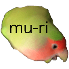 chi_20200223021337