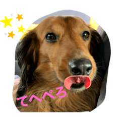 moka_beginning.of .happiness