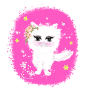 Fluffy pretty cat! Her name is bianca.