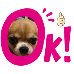 Yamada_20200223104727