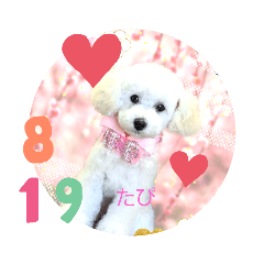 Risa_20200223121539