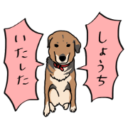 cute dog sticker, Ann