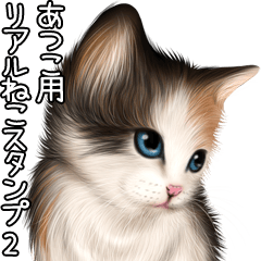 Atsuko Real pretty cats 2